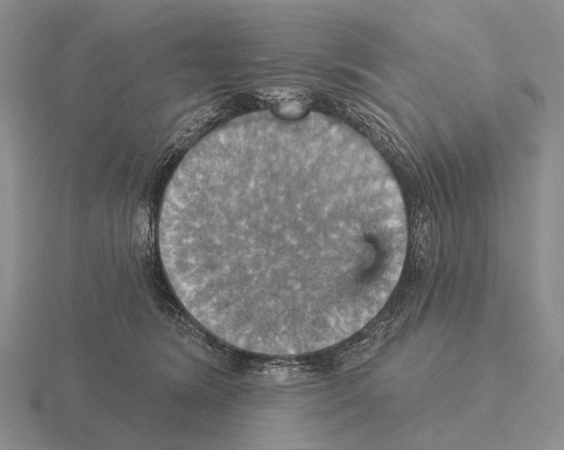 X0000115450420200912161518