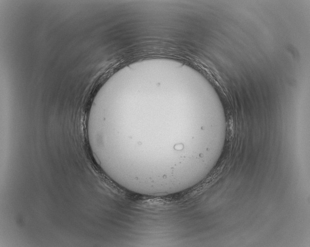 X0000115450423200912161518