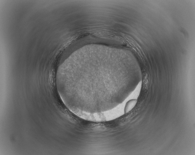 X0000115450424200912161518