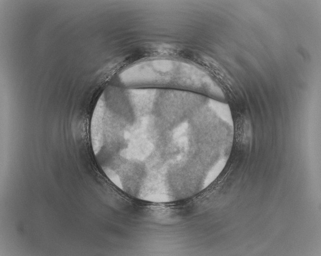 X0000115450425200912161518