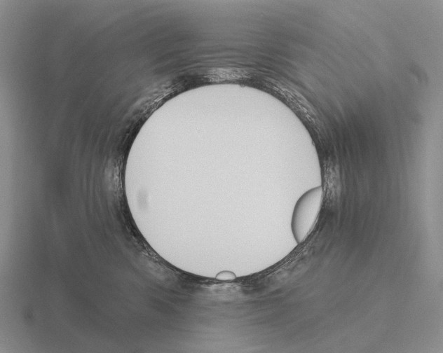 X0000115450426200912161518