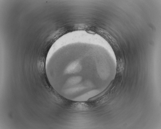 X0000115450427200912161518