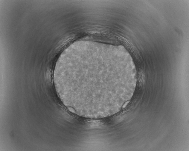 X0000115450428200912161518