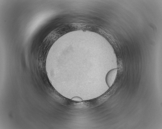 X0000115450430200912161518