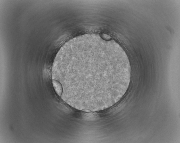 X0000115450432200912161518