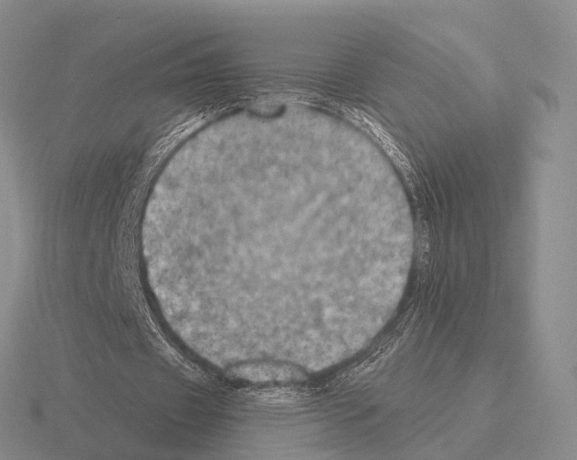 X0000115450433200912161517