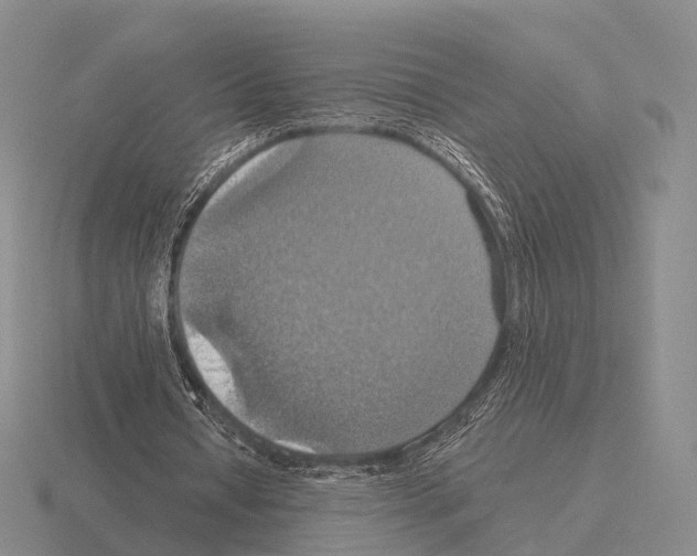 X0000115450434200912161517