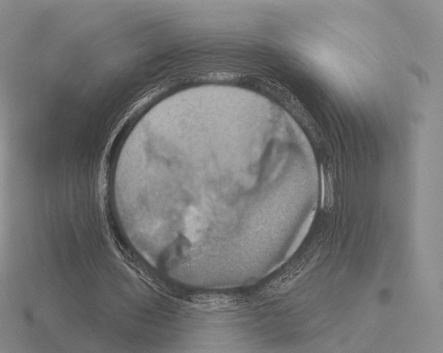 X0000115450435200912161517