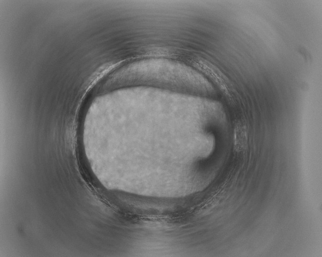 X0000115450436200912161517