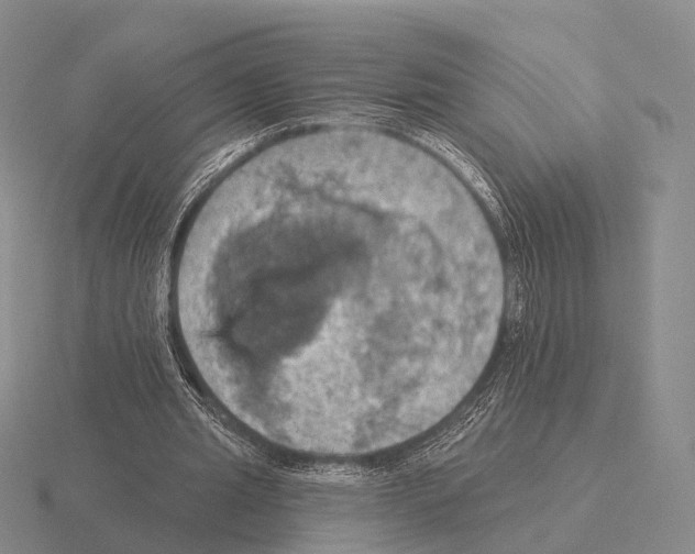 X0000115450437200912161517