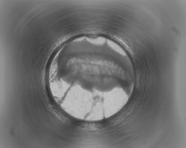 X0000115450439200912161517