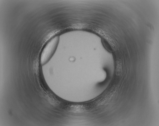 X0000115450440200912161517