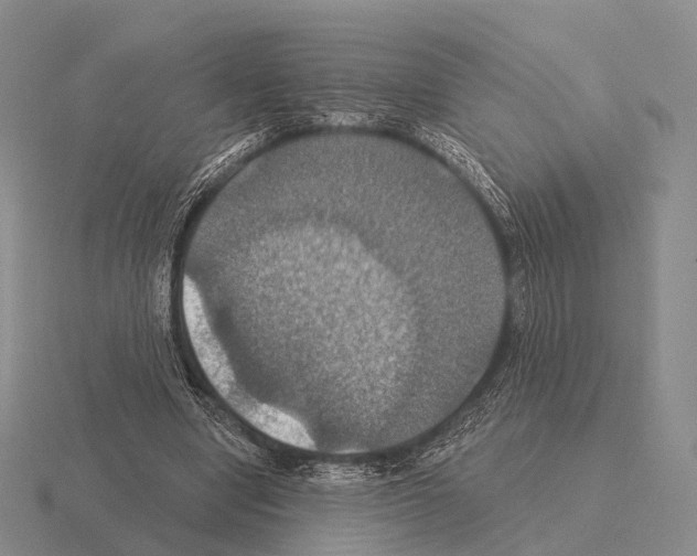 X0000115450442200912161517