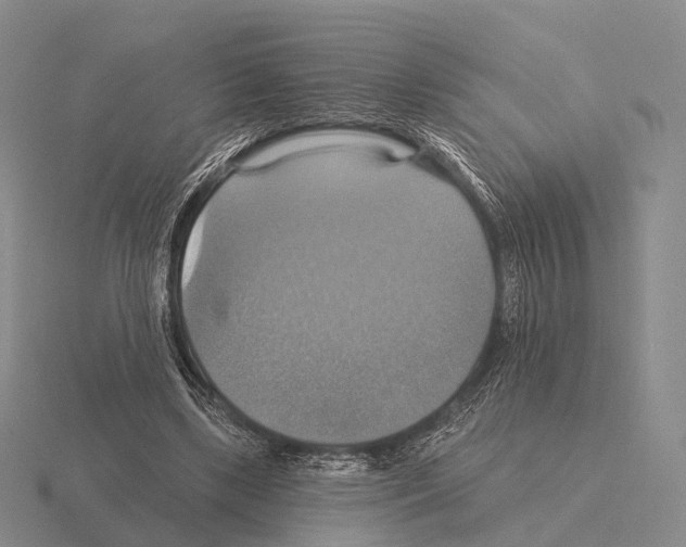 X0000115450443200912161517