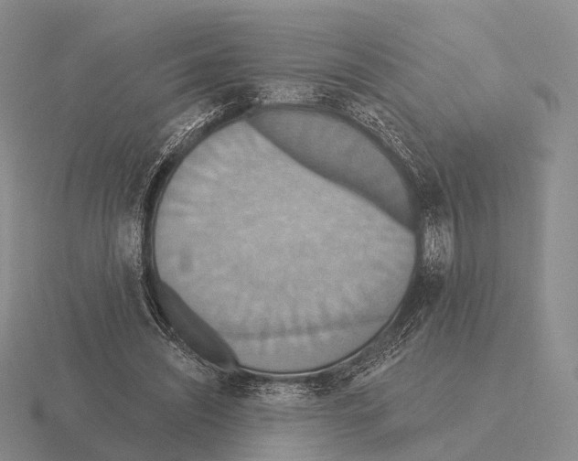 X0000115450444200912161517