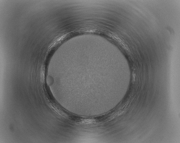 X0000115450446200912161517