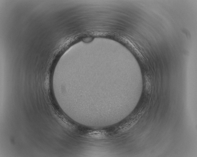 X0000115450447200912161518