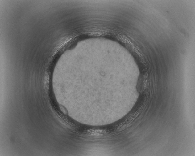 X0000115450448200912161518