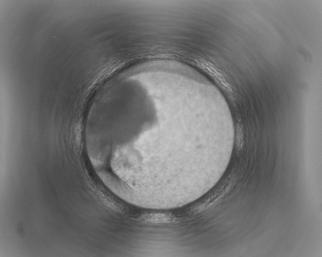 X0000115450449200912161518