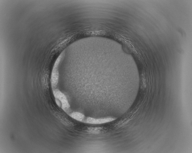 X0000115450450200912161518