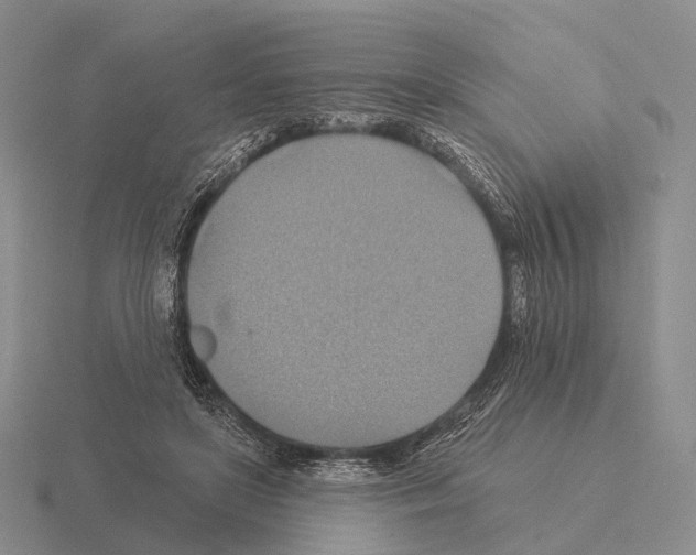 X0000115450451200912161518