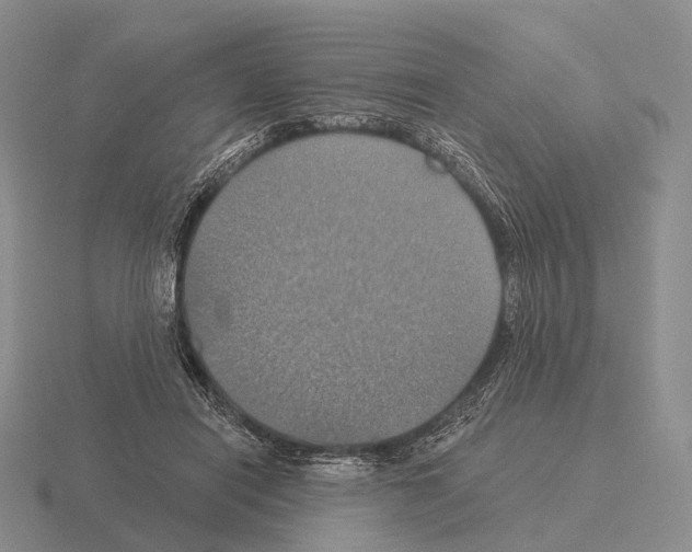 X0000115450454200912161518