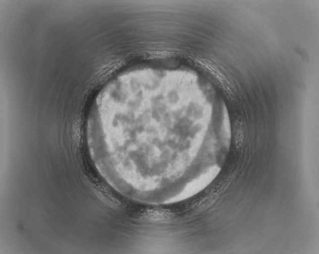 X0000115450455200912161518