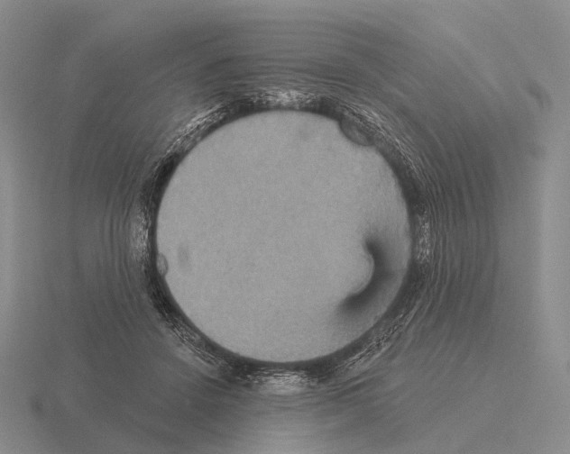 X0000115450456200912161518