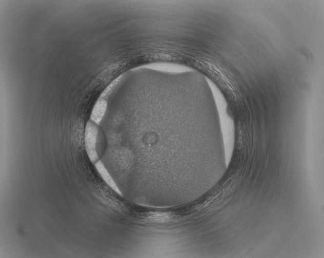 X0000115450457200912161518