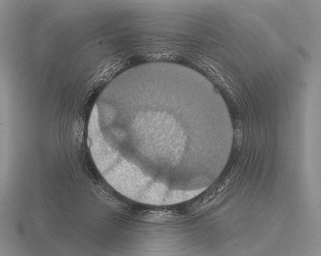 X0000115450458200912161518