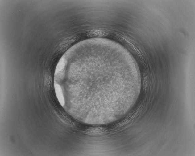 X0000115450459200912161518