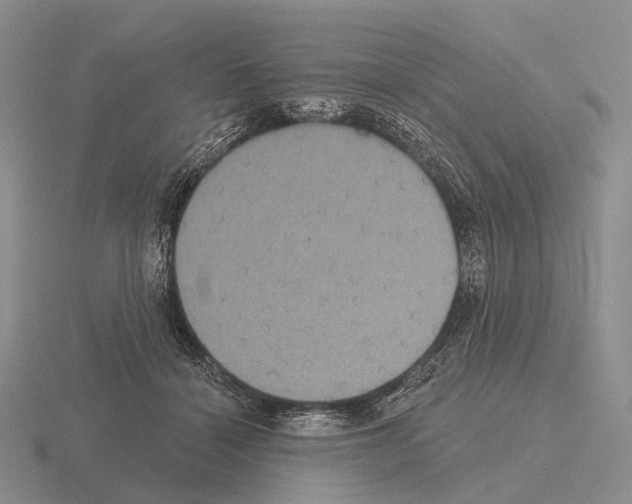 X0000115450460200912161518