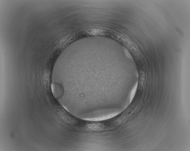 X0000115450461200912161518