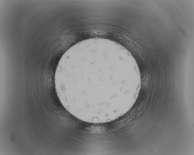 X0000115450464200912161518