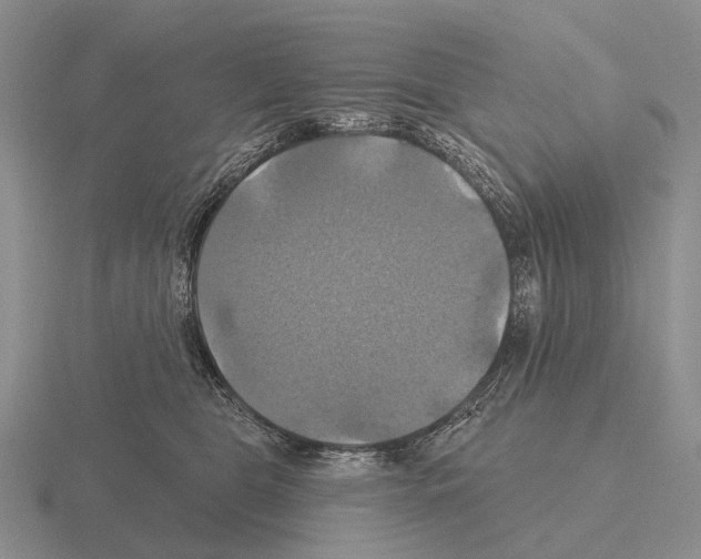 X0000115450469200912161518