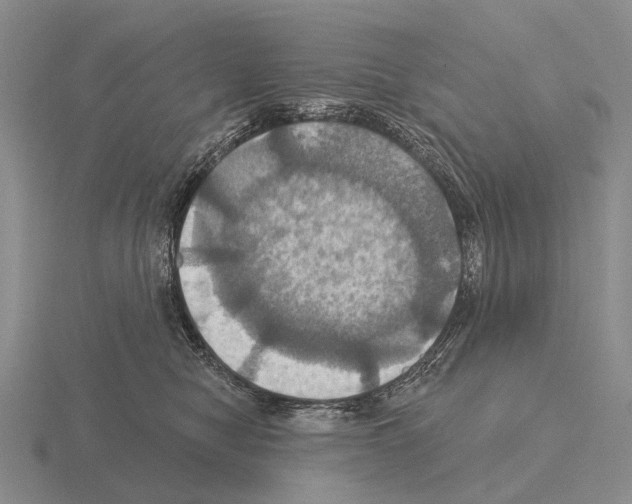 X0000115450470200912161518