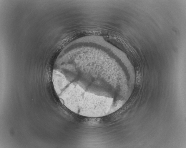 X0000115450474200912161518