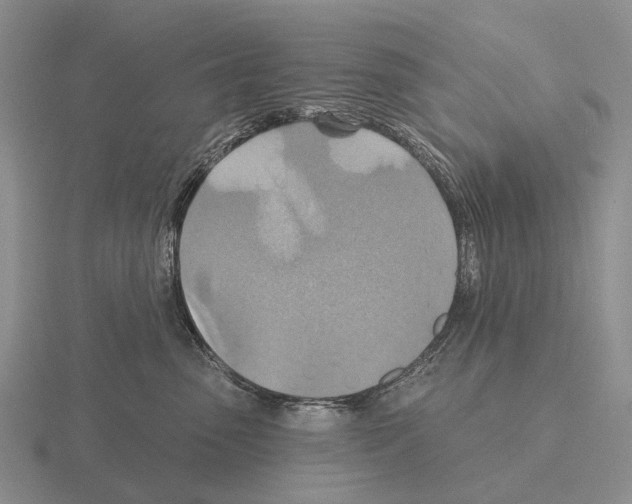 X0000115450475200912161518