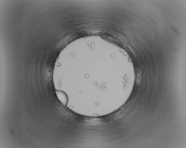 X0000115450476200912161518