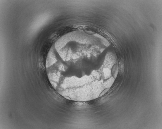 X0000115450477200912161518