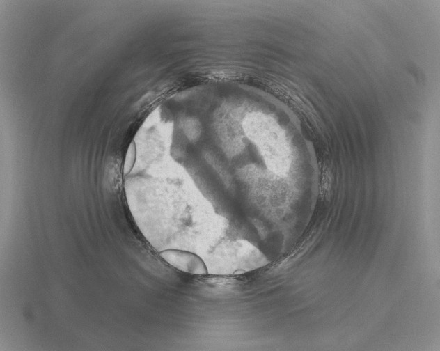 X0000115450478200912161518