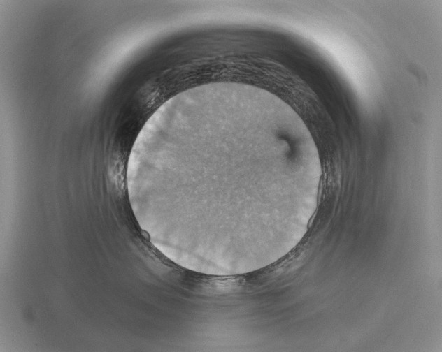 X0000115450479200912161518