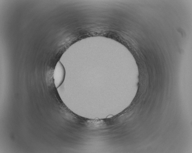 X0000115450480200912161518