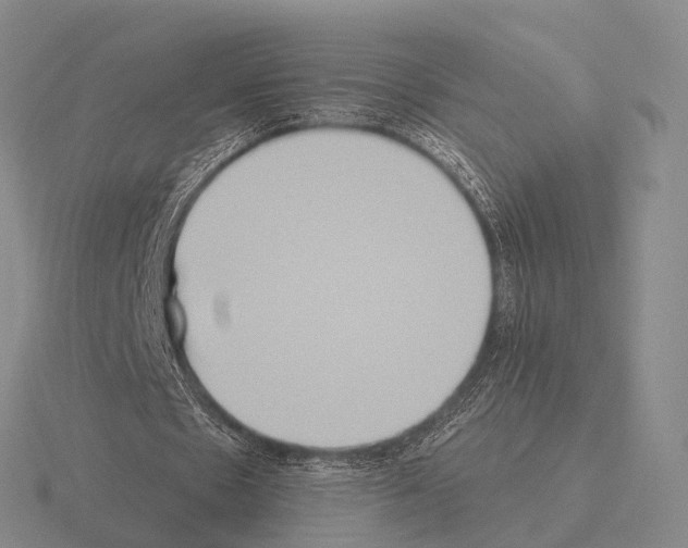 X0000115450481200912161517