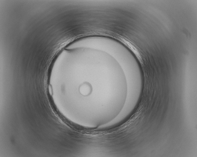 X0000115450485200912161517