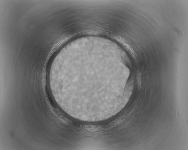 X0000115450486200912161517