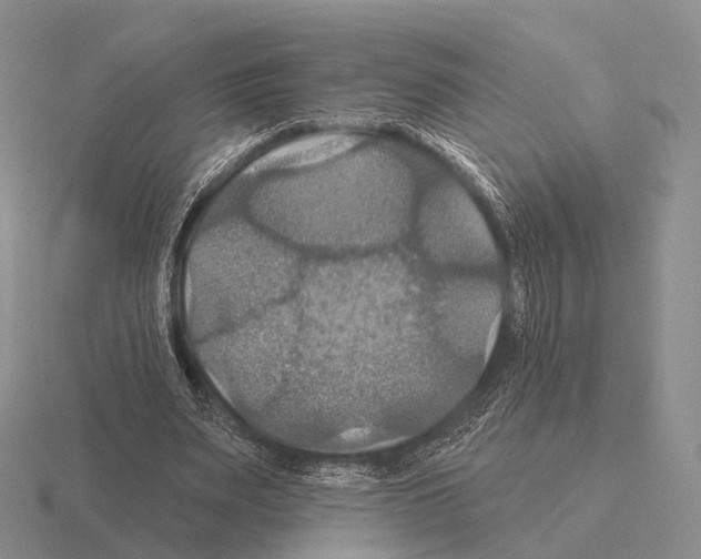 X0000115450487200912161517