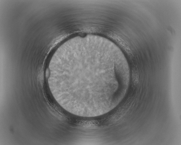 X0000115450488200912161517