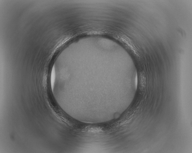 X0000115450491200912161517