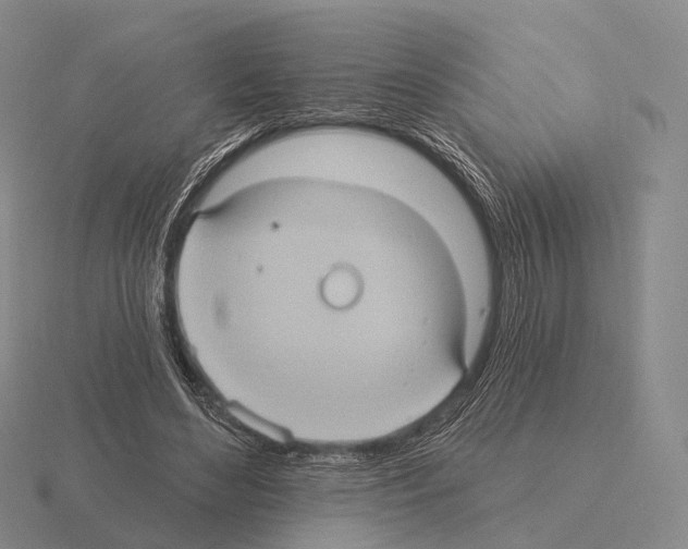 X0000115450492200912161517